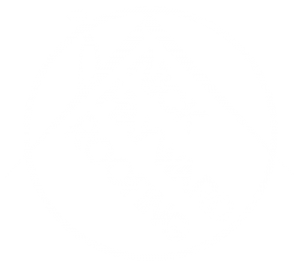 Nick_Hayward_wht_logo