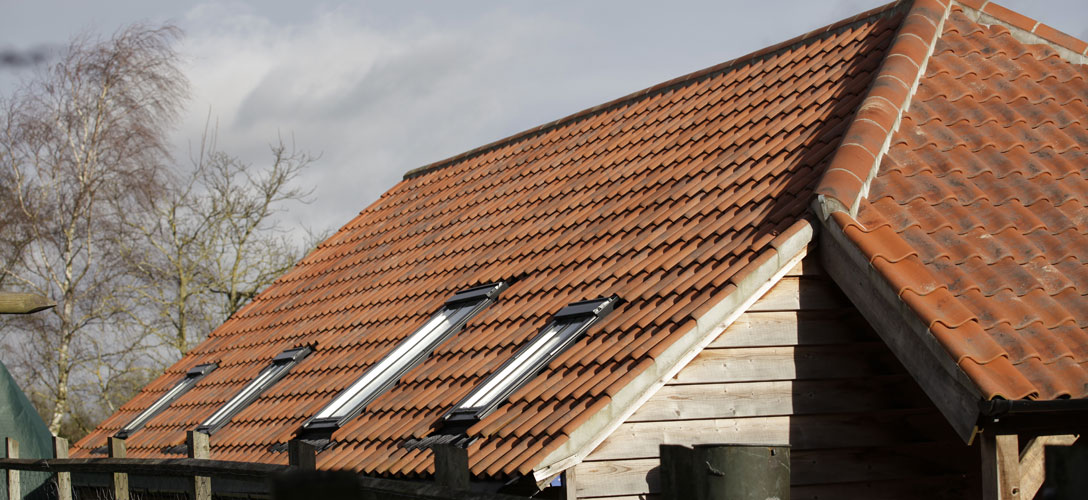 Barn with Roof Lights